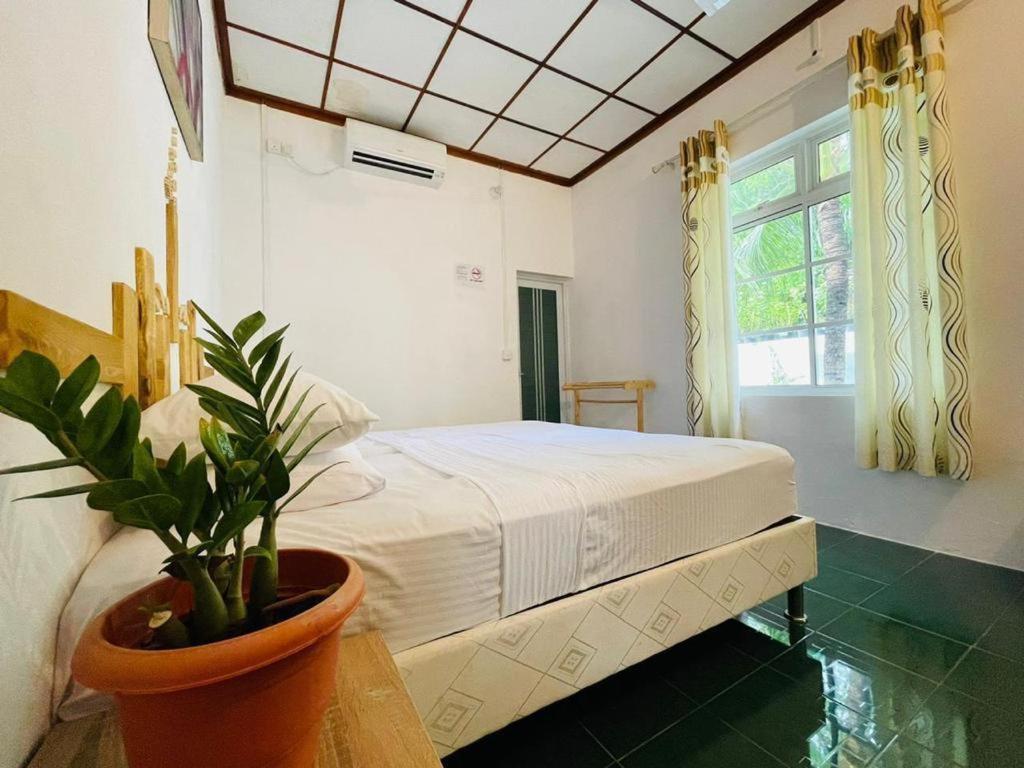 Fehendhoo Stay Ngoại thất bức ảnh